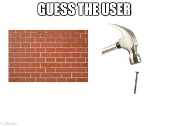 Blank White Template | GUESS THE USER | image tagged in blank white template | made w/ Imgflip meme maker