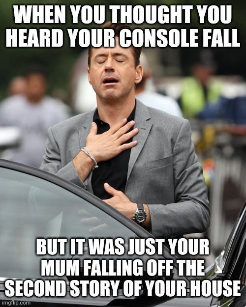 Relatable | WHEN YOU THOUGHT YOU HEARD YOUR CONSOLE FALL; BUT IT WAS JUST YOUR MUM FALLING OFF THE SECOND STORY OF YOUR HOUSE | image tagged in memes,funny | made w/ Imgflip meme maker