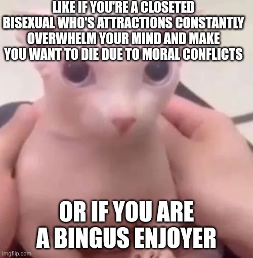 Aaaaahhh, good bingus | LIKE IF YOU'RE A CLOSETED BISEXUAL WHO'S ATTRACTIONS CONSTANTLY OVERWHELM YOUR MIND AND MAKE YOU WANT TO DIE DUE TO MORAL CONFLICTS; OR IF YOU ARE A BINGUS ENJOYER | image tagged in bingus | made w/ Imgflip meme maker