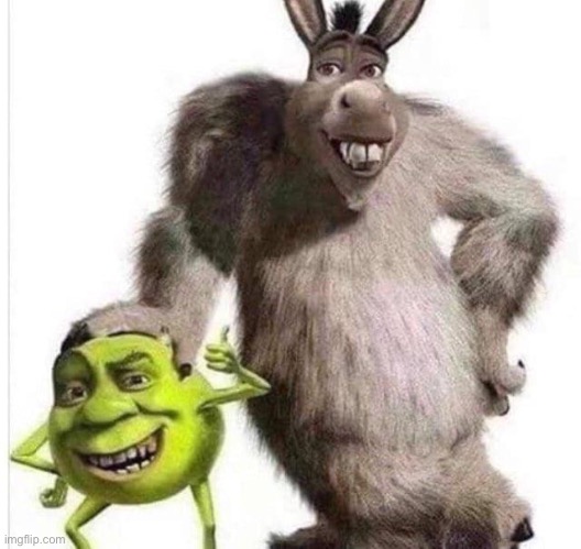 shrek wazowski and donkey sullivan | image tagged in shrek wazowski and donkey sullivan | made w/ Imgflip meme maker