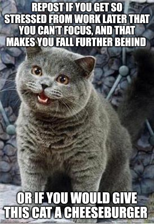 B O R G U S | REPOST IF YOU GET SO STRESSED FROM WORK LATER THAT YOU CAN'T FOCUS, AND THAT MAKES YOU FALL FURTHER BEHIND; OR IF YOU WOULD GIVE THIS CAT A CHEESEBURGER | image tagged in i can has cheezburger cat | made w/ Imgflip meme maker