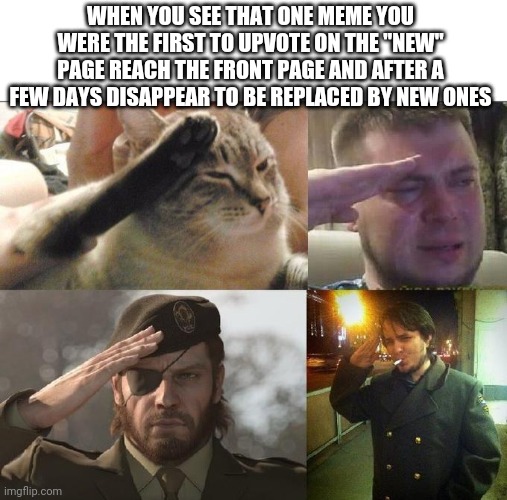 We've all seen that, didn't we? | WHEN YOU SEE THAT ONE MEME YOU WERE THE FIRST TO UPVOTE ON THE "NEW" PAGE REACH THE FRONT PAGE AND AFTER A FEW DAYS DISAPPEAR TO BE REPLACED BY NEW ONES | image tagged in sad salute | made w/ Imgflip meme maker