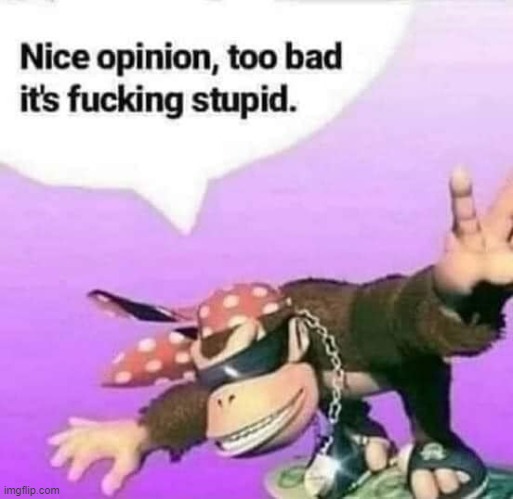 Nice opinion, too bad it's fucking stupid | image tagged in nice opinion too bad it's fucking stupid | made w/ Imgflip meme maker