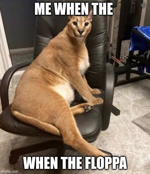 when floppa | ME WHEN THE; WHEN THE FLOPPA | image tagged in big floppa | made w/ Imgflip meme maker