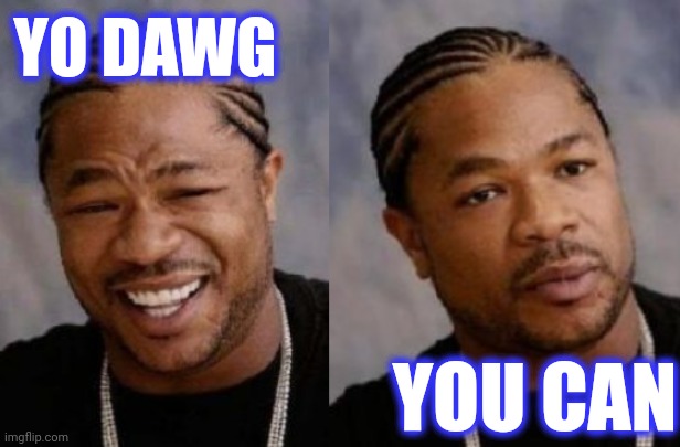 YO DAWG YOU CAN | image tagged in memes,serious xzibit | made w/ Imgflip meme maker