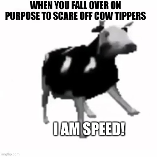Speediest cow in the west | WHEN YOU FALL OVER ON PURPOSE TO SCARE OFF COW TIPPERS; I AM SPEED! | image tagged in polish cow,cow,cow tipping,ive got no idea whats going on | made w/ Imgflip meme maker