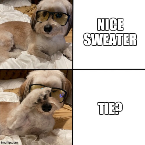 NICE SWEATER; TIE? | image tagged in bad pun dog | made w/ Imgflip meme maker