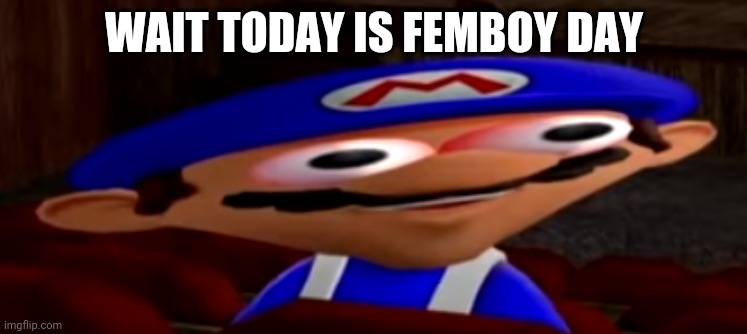 But it said that it canceled (mod note: Idk) | WAIT TODAY IS FEMBOY DAY | image tagged in smg4 stare | made w/ Imgflip meme maker