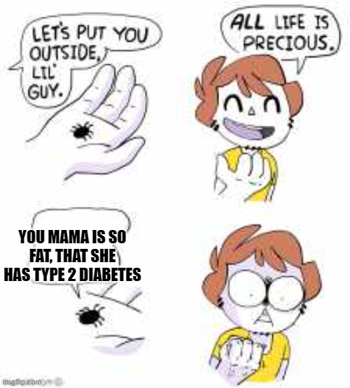 What did you say about my Mama? | YOU MAMA IS SO FAT, THAT SHE HAS TYPE 2 DIABETES | image tagged in all life is precious | made w/ Imgflip meme maker
