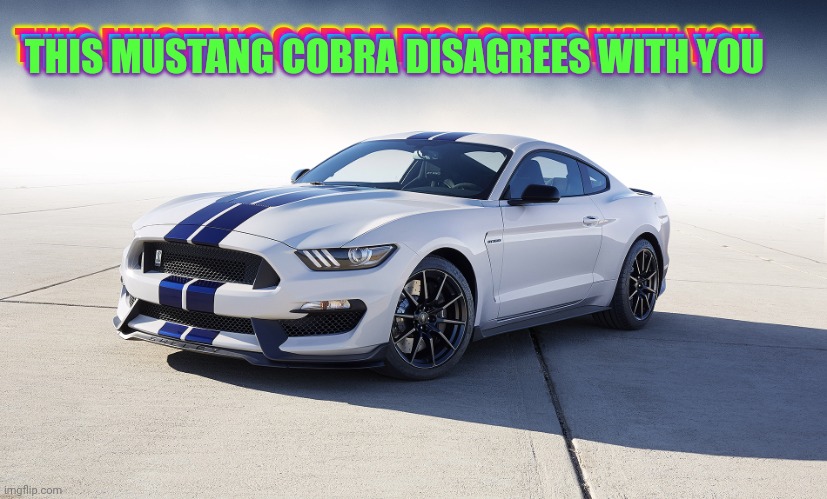 2015 Ford Mustang GT350 | THIS MUSTANG COBRA DISAGREES WITH YOU THIS MUSTANG COBRA DISAGREES WITH YOU THIS MUSTANG COBRA DISAGREES WITH YOU | image tagged in 2015 ford mustang gt350 | made w/ Imgflip meme maker