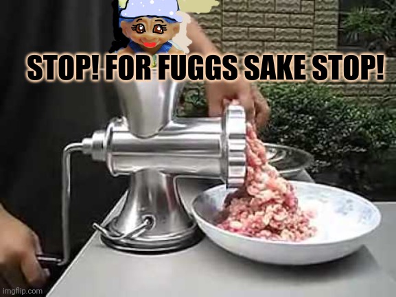 Meat grinder | STOP! FOR FUGGS SAKE STOP! | image tagged in meat grinder | made w/ Imgflip meme maker