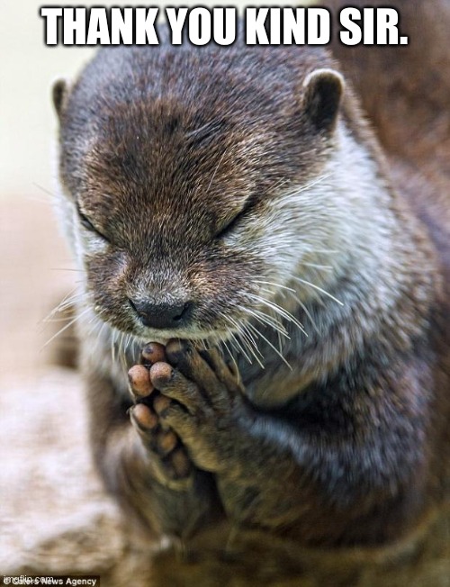 Thank you Lord Otter | THANK YOU KIND SIR. | image tagged in thank you lord otter | made w/ Imgflip meme maker