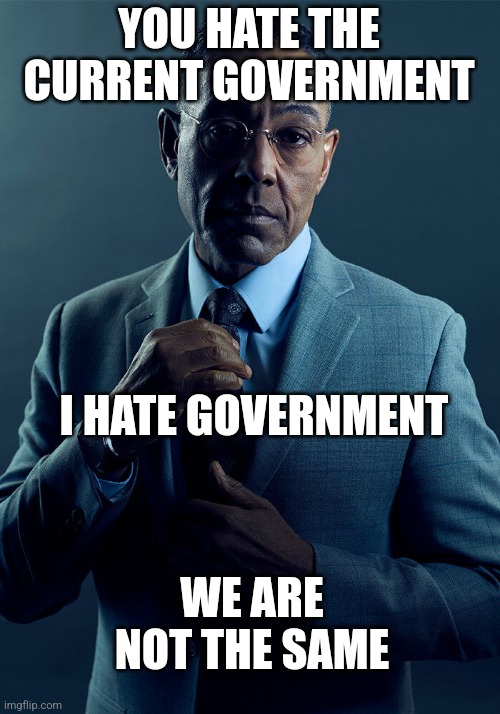 Gus Fring we are not the same | YOU HATE THE CURRENT GOVERNMENT; I HATE GOVERNMENT; WE ARE NOT THE SAME | image tagged in gus fring we are not the same | made w/ Imgflip meme maker