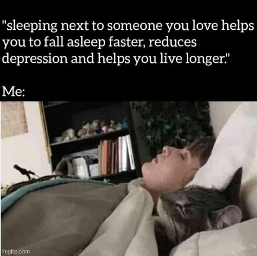 Sleeping with someone you love: | image tagged in wholesome,cute,cats,animals,memes | made w/ Imgflip meme maker