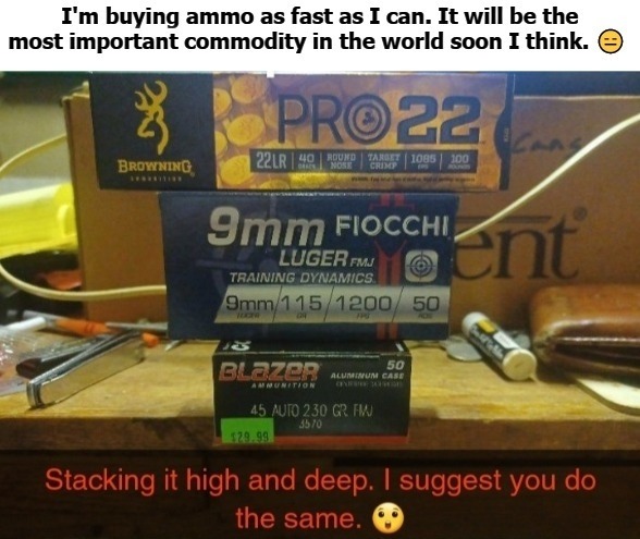 I'm buying ammo as fast as I can. I suggest you do the same. | image tagged in gun rights,2nd amendment,ammo,pass the ammunition,revolution,sic semper tyrannis | made w/ Imgflip meme maker