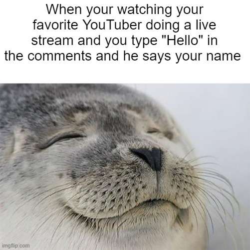 YouTuber Says Your Name | When your watching your favorite YouTuber doing a live stream and you type "Hello" in the comments and he says your name | image tagged in memes,satisfied seal,youtube,stream | made w/ Imgflip meme maker