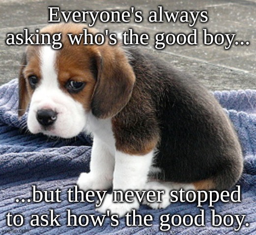 T-T | Everyone's always asking who's the good boy... ...but they never stopped to ask how's the good boy. | image tagged in sad dog,memes,funny,dogs,sad,cute puppy | made w/ Imgflip meme maker