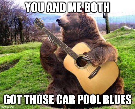 bear with guitar  | YOU AND ME BOTH; GOT THOSE CAR POOL BLUES | image tagged in bear with guitar | made w/ Imgflip meme maker