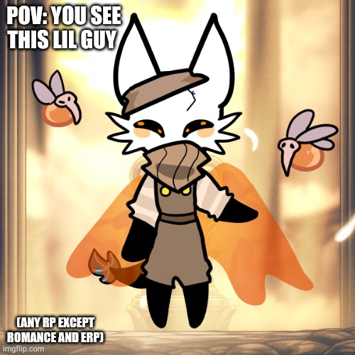 Ya | POV: YOU SEE THIS LIL GUY; (ANY RP EXCEPT ROMANCE AND ERP) | image tagged in kon | made w/ Imgflip meme maker