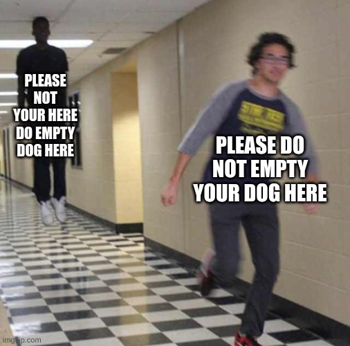 floating boy chasing running boy | PLEASE NOT YOUR HERE DO EMPTY DOG HERE PLEASE DO NOT EMPTY YOUR DOG HERE | image tagged in floating boy chasing running boy | made w/ Imgflip meme maker