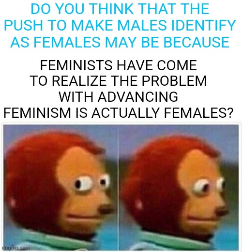 The logic is just twisted enough for it to be true | DO YOU THINK THAT THE PUSH TO MAKE MALES IDENTIFY AS FEMALES MAY BE BECAUSE; FEMINISTS HAVE COME TO REALIZE THE PROBLEM WITH ADVANCING FEMINISM IS ACTUALLY FEMALES? | image tagged in memes,transgender,feminism | made w/ Imgflip meme maker