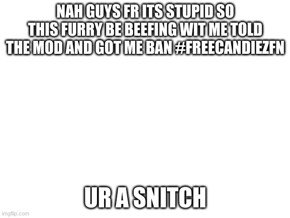 i cant comment anymore | NAH GUYS FR ITS STUPID SO THIS FURRY BE BEEFING WIT ME TOLD THE MOD AND GOT ME BAN #FREECANDIEZFN; UR A SNITCH | image tagged in blank white template | made w/ Imgflip meme maker