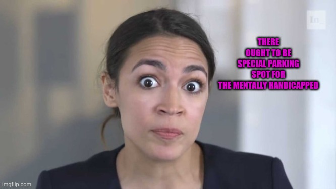 Crazy Alexandria Ocasio-Cortez | THERE OUGHT TO BE SPECIAL PARKING SPOT FOR THE MENTALLY HANDICAPPED | image tagged in crazy alexandria ocasio-cortez | made w/ Imgflip meme maker