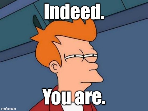 Fry is not sure... | Indeed. You are. | image tagged in fry is not sure | made w/ Imgflip meme maker