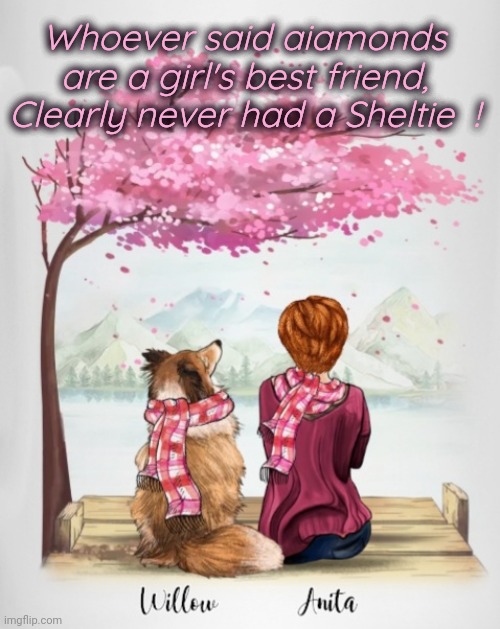 Shelties are a Girl's best friend | Whoever said aiamonds are a girl's best friend,
Clearly never had a Sheltie  ! | image tagged in sheltie,tree,pink,dog love | made w/ Imgflip meme maker