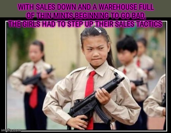 Just buy the damn cookies | WITH SALES DOWN AND A WAREHOUSE FULL OF THIN MINTS BEGINNING TO GO BAD, THE GIRLS HAD TO STEP UP THEIR SALES TACTICS | image tagged in girl scouts,girl scout cookies,guns,mp5,door to door,salesman | made w/ Imgflip meme maker