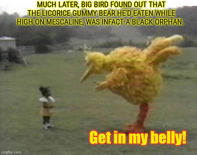 Drugs are bad, m'kay? | MUCH LATER, BIG BIRD FOUND OUT THAT THE LICORICE GUMMY BEAR HE'D EATEN WHILE HIGH ON MESCALINE, WAS INFACT A BLACK ORPHAN. Get in my belly! | image tagged in big bird,sesame street,drugs,eating,kids | made w/ Imgflip meme maker