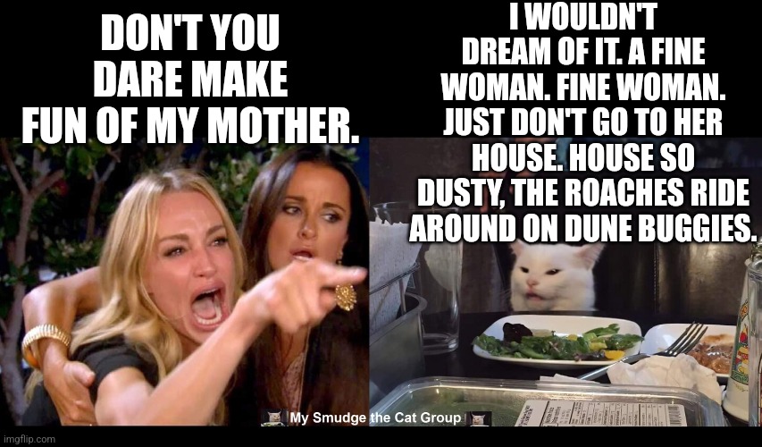 I WOULDN'T DREAM OF IT. A FINE WOMAN. FINE WOMAN. JUST DON'T GO TO HER HOUSE. HOUSE SO DUSTY, THE ROACHES RIDE AROUND ON DUNE BUGGIES. DON'T YOU DARE MAKE FUN OF MY MOTHER. | image tagged in smudge the cat,woman yelling at cat | made w/ Imgflip meme maker