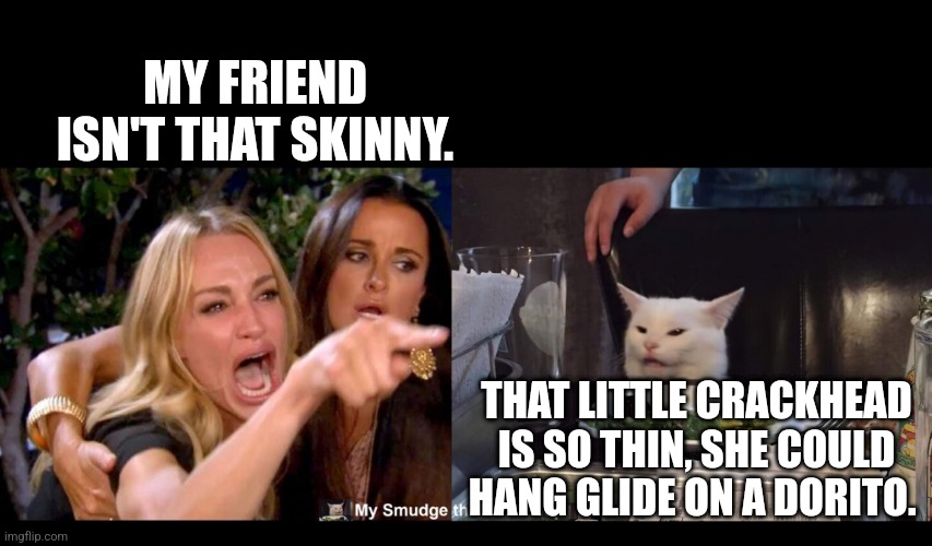 MY FRIEND ISN'T THAT SKINNY. THAT LITTLE CRACKHEAD IS SO THIN, SHE COULD HANG GLIDE ON A DORITO. | image tagged in smudge the cat,woman yelling at cat | made w/ Imgflip meme maker