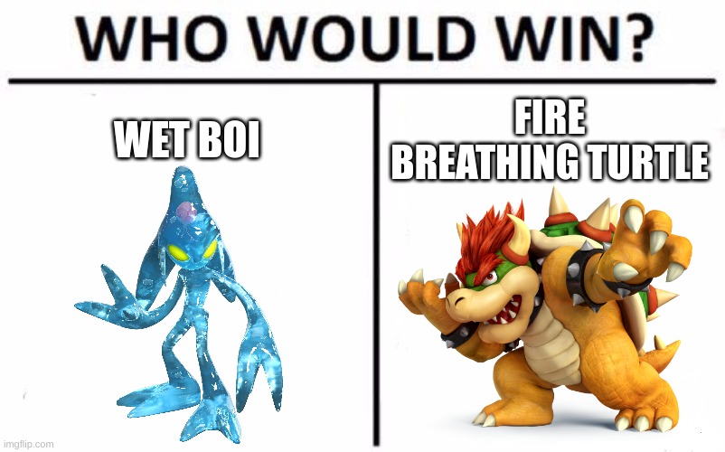 wet boi | WET BOI; FIRE BREATHING TURTLE | image tagged in memes,who would win | made w/ Imgflip meme maker