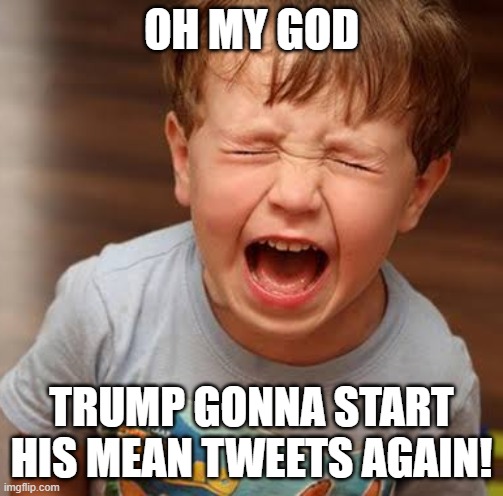 Tantrum | OH MY GOD TRUMP GONNA START HIS MEAN TWEETS AGAIN! | image tagged in tantrum | made w/ Imgflip meme maker