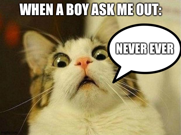Scared Cat Meme |  WHEN A BOY ASK ME OUT:; NEVER EVER | image tagged in memes,scared cat | made w/ Imgflip meme maker