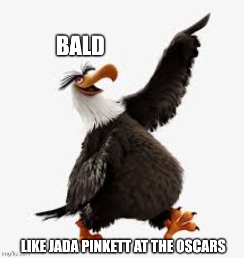 angry birds eagle | BALD; LIKE JADA PINKETT AT THE OSCARS | image tagged in angry birds eagle | made w/ Imgflip meme maker