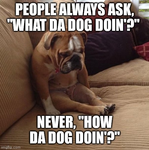 bulldogsad | PEOPLE ALWAYS ASK, "WHAT DA DOG DOIN'?" NEVER, "HOW DA DOG DOIN'?" | image tagged in bulldogsad | made w/ Imgflip meme maker