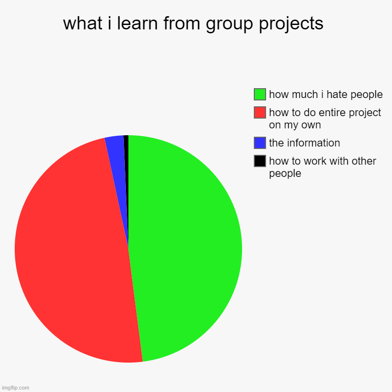 what i learn from group projects | what i learn from group projects | how to work with other people, the information, how to do entire project on my own, how much i hate peopl | image tagged in charts,pie charts | made w/ Imgflip chart maker