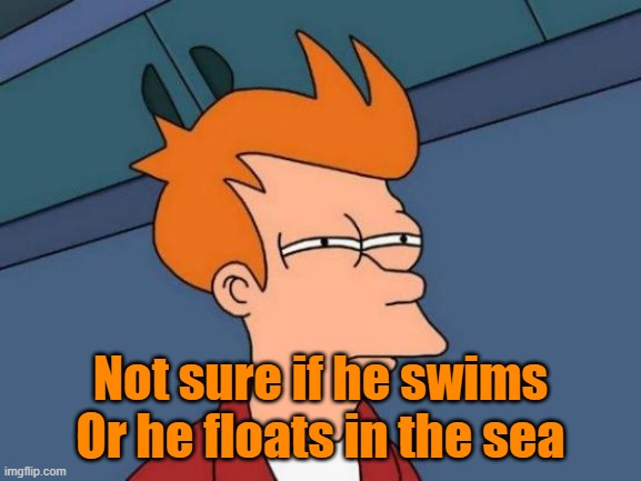 Futurama Fry Meme | Not sure if he swims Or he floats in the sea | image tagged in memes,futurama fry | made w/ Imgflip meme maker