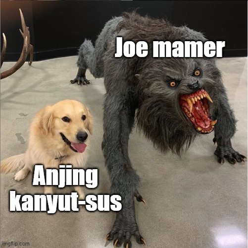 Kanyut-sus the entire memes without reading | Joe mamer; Anjing kanyut-sus | image tagged in dog vs werewolf,memes | made w/ Imgflip meme maker