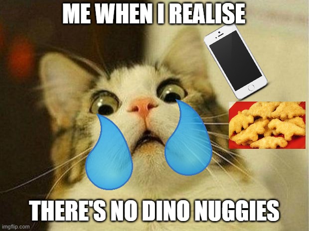 Scared Cat Meme | ME WHEN I REALISE; THERE'S NO DINO NUGGIES | image tagged in memes,scared cat | made w/ Imgflip meme maker