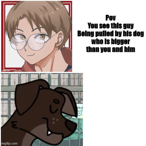 Romance is allowed but no ERP | Pov
You see this guy
Being pulled by his dog
who is bigger than you and him | image tagged in white square but with big text | made w/ Imgflip meme maker