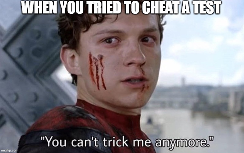 You can't trick me anymore | WHEN YOU TRIED TO CHEAT A TEST | image tagged in you can't trick me anymore | made w/ Imgflip meme maker