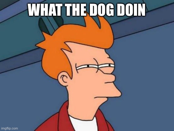Futurama Fry Meme | WHAT THE DOG DOIN | image tagged in memes,futurama fry | made w/ Imgflip meme maker