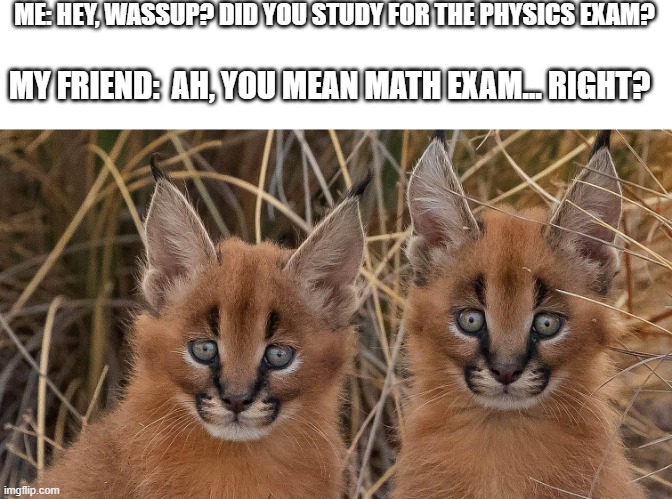 ever happened to you? ;p | ME: HEY, WASSUP? DID YOU STUDY FOR THE PHYSICS EXAM? MY FRIEND:  AH, YOU MEAN MATH EXAM... RIGHT? | image tagged in oh no,memes,funny,shit | made w/ Imgflip meme maker