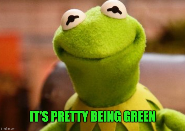 Smiling kermit | IT'S PRETTY BEING GREEN | image tagged in smiling kermit | made w/ Imgflip meme maker