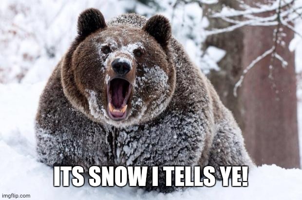 Cocaine bear | ITS SNOW I TELLS YE! | image tagged in cocaine bear | made w/ Imgflip meme maker
