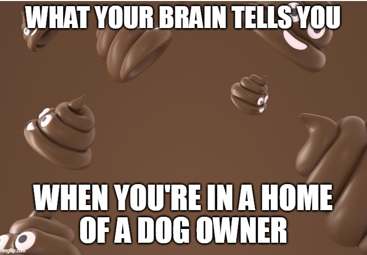Facebook Poop Emoji Background | WHAT YOUR BRAIN TELLS YOU; WHEN YOU'RE IN A HOME
OF A DOG OWNER | image tagged in facebook poop emoji background | made w/ Imgflip meme maker