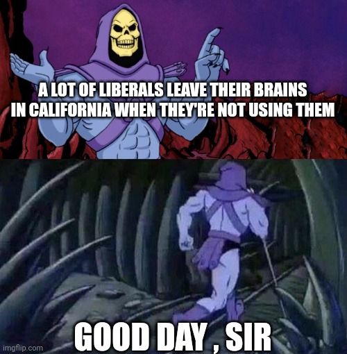 he man skeleton advices | A LOT OF LIBERALS LEAVE THEIR BRAINS IN CALIFORNIA WHEN THEY'RE NOT USING THEM GOOD DAY , SIR | image tagged in he man skeleton advices | made w/ Imgflip meme maker